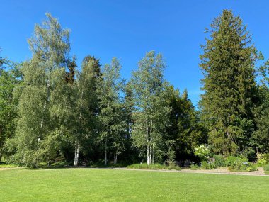Zürih Üniversitesi Botanik Bahçesi veya Botanischer Garten der Universitt Zrich (Botanischer Garten der Universitat Zürih - Botanischer Garten der Universitaet Zuerich), İsviçre