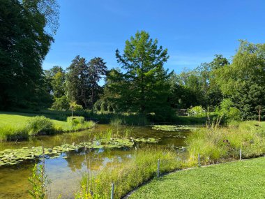 Zürih Üniversitesi Botanik Bahçesi veya Botanischer Garten der Universitt Zrich (Botanischer Garten der Universitat Zürih - Botanischer Garten der Universitaet Zuerich), İsviçre