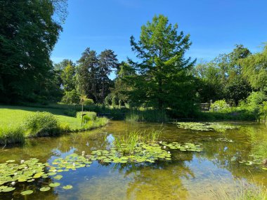 Zürih Üniversitesi Botanik Bahçesi veya Botanischer Garten der Universitt Zrich (Botanischer Garten der Universitat Zürih - Botanischer Garten der Universitaet Zuerich), İsviçre