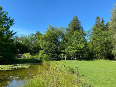 Zürih Üniversitesi Botanik Bahçesi veya Botanischer Garten der Universitt Zrich (Botanischer Garten der Universitat Zürih - Botanischer Garten der Universitaet Zuerich), İsviçre