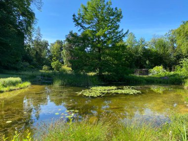 Zürih Üniversitesi Botanik Bahçesi veya Botanischer Garten der Universitt Zrich (Botanischer Garten der Universitat Zürih - Botanischer Garten der Universitaet Zuerich), İsviçre