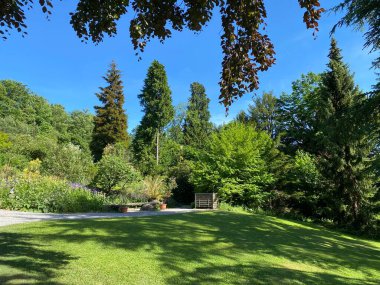 Zürih Üniversitesi Botanik Bahçesi veya Botanischer Garten der Universitt Zrich (Botanischer Garten der Universitat Zürih - Botanischer Garten der Universitaet Zuerich), İsviçre