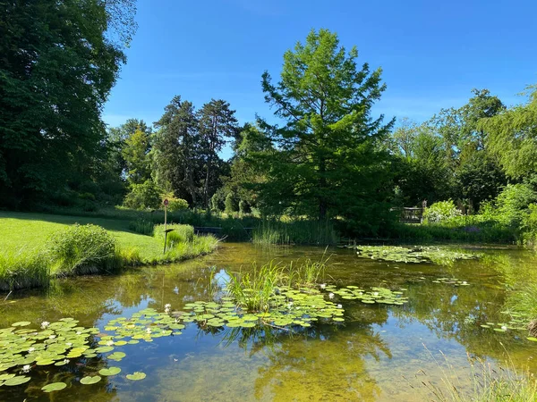 Zürih Üniversitesi Botanik Bahçesi veya Botanischer Garten der Universitt Zrich (Botanischer Garten der Universitat Zürih - Botanischer Garten der Universitaet Zuerich), İsviçre