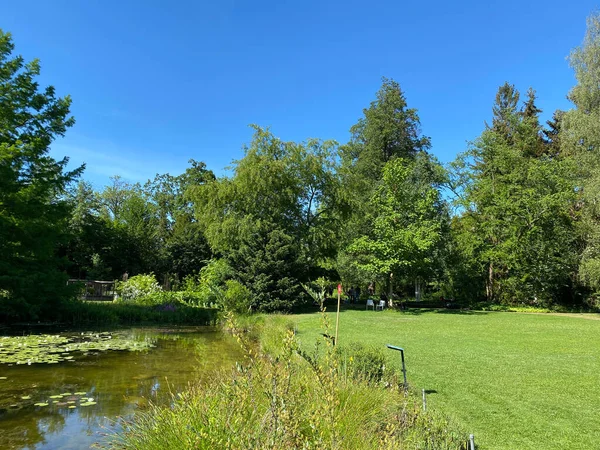 Zürih Üniversitesi Botanik Bahçesi veya Botanischer Garten der Universitt Zrich (Botanischer Garten der Universitat Zürih - Botanischer Garten der Universitaet Zuerich), İsviçre