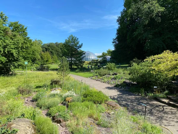 Zürih Üniversitesi Botanik Bahçesi veya Botanischer Garten der Universitt Zrich (Botanischer Garten der Universitat Zürih - Botanischer Garten der Universitaet Zuerich), İsviçre
