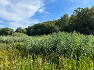 Significant landscape of Sovsko Lake or Blue eye of Slavonia, Sovski Dol - Caglin, Croatia (Znacajni krajobraz Sovsko jezero ili Modro oko Slavonije - Caglin, Hrvatska)