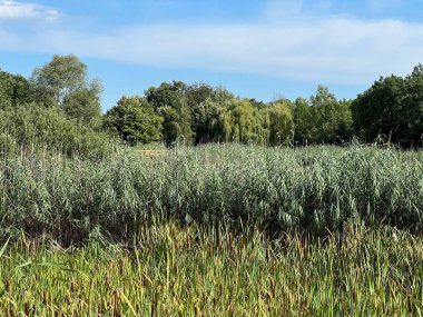 Significant landscape of Sovsko Lake or Blue eye of Slavonia, Sovski Dol - Caglin, Croatia (Znacajni krajobraz Sovsko jezero ili Modro oko Slavonije - Caglin, Hrvatska)