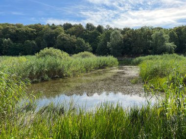 Significant landscape of Sovsko Lake or Blue eye of Slavonia, Sovski Dol - Caglin, Croatia (Znacajni krajobraz Sovsko jezero ili Modro oko Slavonije - Caglin, Hrvatska)