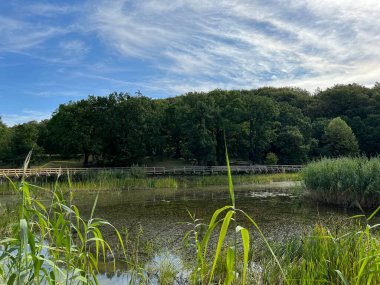 Significant landscape of Sovsko Lake or Blue eye of Slavonia, Sovski Dol - Caglin, Croatia (Znacajni krajobraz Sovsko jezero ili Modro oko Slavonije - Caglin, Hrvatska)