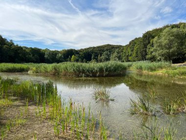 Significant landscape of Sovsko Lake or Blue eye of Slavonia, Sovski Dol - Caglin, Croatia (Znacajni krajobraz Sovsko jezero ili Modro oko Slavonije - Caglin, Hrvatska)