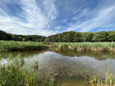 Significant landscape of Sovsko Lake or Blue eye of Slavonia, Sovski Dol - Caglin, Croatia (Znacajni krajobraz Sovsko jezero ili Modro oko Slavonije - Caglin, Hrvatska)