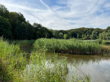 Significant landscape of Sovsko Lake or Blue eye of Slavonia, Sovski Dol - Caglin, Croatia (Znacajni krajobraz Sovsko jezero ili Modro oko Slavonije - Caglin, Hrvatska)