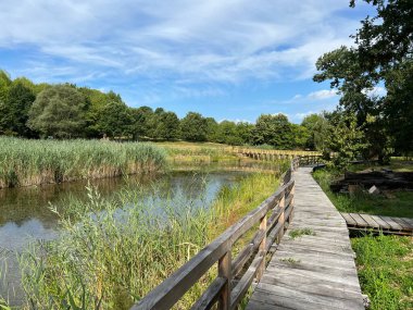 Significant landscape of Sovsko Lake or Blue eye of Slavonia, Sovski Dol - Caglin, Croatia (Znacajni krajobraz Sovsko jezero ili Modro oko Slavonije - Caglin, Hrvatska)