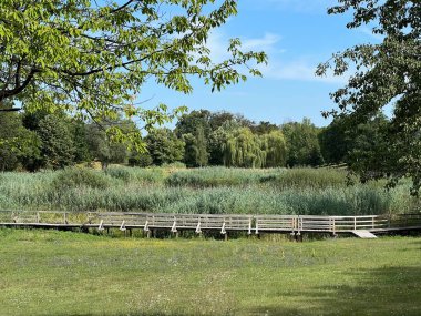 Slavonian pastures and mixed forest in the area of the significant landscape of Sovsko lake - Caglin, Croatia (Slavonski pasnjaci i mijesana suma na podrucju znacajnog krajolika Sovsko jezero - Hrvatska)