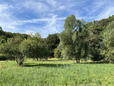 Slavonian pastures and mixed forest in the area of the significant landscape of Sovsko lake - Caglin, Croatia (Slavonski pasnjaci i mijesana suma na podrucju znacajnog krajolika Sovsko jezero - Hrvatska)