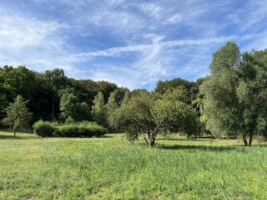 Slavonian pastures and mixed forest in the area of the significant landscape of Sovsko lake - Caglin, Croatia (Slavonski pasnjaci i mijesana suma na podrucju znacajnog krajolika Sovsko jezero - Hrvatska)