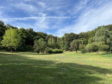Slavonian pastures and mixed forest in the area of the significant landscape of Sovsko lake - Caglin, Croatia (Slavonski pasnjaci i mijesana suma na podrucju znacajnog krajolika Sovsko jezero - Hrvatska)