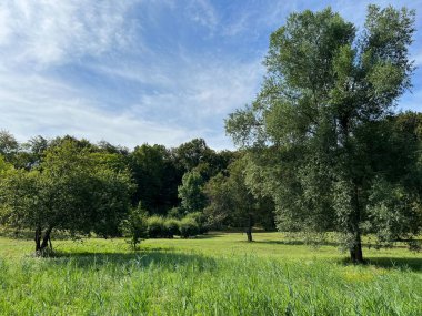 Slavonian pastures and mixed forest in the area of the significant landscape of Sovsko lake - Caglin, Croatia (Slavonski pasnjaci i mijesana suma na podrucju znacajnog krajolika Sovsko jezero - Hrvatska)
