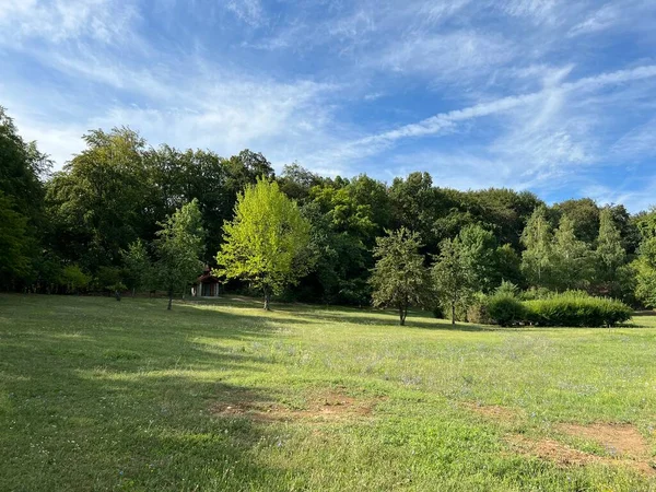 Slavonian pastures and mixed forest in the area of the significant landscape of Sovsko lake - Caglin, Croatia (Slavonski pasnjaci i mijesana suma na podrucju znacajnog krajolika Sovsko jezero - Hrvatska)