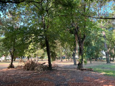 The park of the Hunting Castle in Bilje or the Park next to the castle of Eugene of Savoy, Bilje - Slavonia, Croatia (Park uz dvorac Eugena Savojskog - Slavonija, Hrvatska)