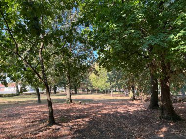 The park of the Hunting Castle in Bilje or the Park next to the castle of Eugene of Savoy, Bilje - Slavonia, Croatia (Park uz dvorac Eugena Savojskog - Slavonija, Hrvatska)