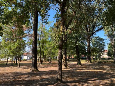 The park of the Hunting Castle in Bilje or the Park next to the castle of Eugene of Savoy, Bilje - Slavonia, Croatia (Park uz dvorac Eugena Savojskog - Slavonija, Hrvatska)