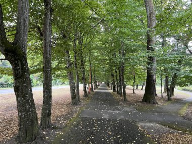 Spa garden Julijes park - Daruvar, Croatia (Ljecilisni perivoj Julijev park - Daruvar, Hrvatska)