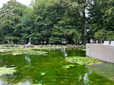 Spa garden Julijes park - Daruvar, Croatia (Ljecilisni perivoj Julijev park - Daruvar, Hrvatska)
