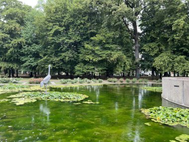 Spa garden Julijes park - Daruvar, Croatia (Ljecilisni perivoj Julijev park - Daruvar, Hrvatska)