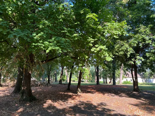 The park of the Hunting Castle in Bilje or the Park next to the castle of Eugene of Savoy, Bilje - Slavonia, Croatia (Park uz dvorac Eugena Savojskog - Slavonija, Hrvatska)