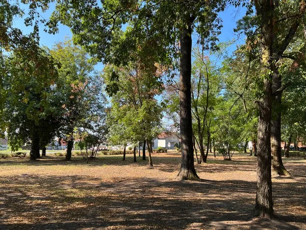 The park of the Hunting Castle in Bilje or the Park next to the castle of Eugene of Savoy, Bilje - Slavonia, Croatia (Park uz dvorac Eugena Savojskog - Slavonija, Hrvatska)