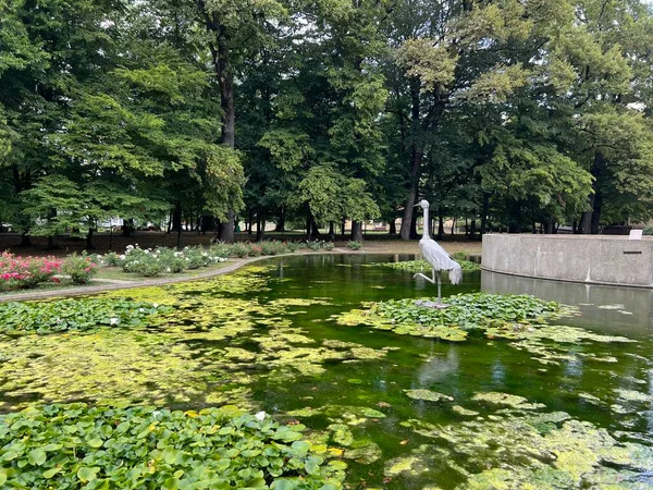 Spa garden Julijes park - Daruvar, Croatia (Ljecilisni perivoj Julijev park - Daruvar, Hrvatska)