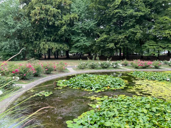 Spa garden Julijes park - Daruvar, Croatia (Ljecilisni perivoj Julijev park - Daruvar, Hrvatska)