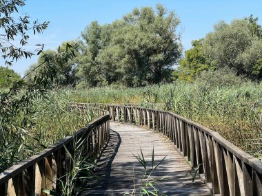 White Water-Lily Boardwalk, Kopacki rit Nature Park - Kopacevo, Croatia (Setnica bijelog lopoca, Park prirode Kopacki rit, Kopacevo - Baranja, Hrvatska)