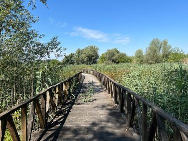 White Water-Lily Boardwalk, Kopacki rit Nature Park - Kopacevo, Croatia (Setnica bijelog lopoca, Park prirode Kopacki rit, Kopacevo - Baranja, Hrvatska)