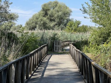 White Water-Lily Boardwalk, Kopacki rit Nature Park - Kopacevo, Croatia (Setnica bijelog lopoca, Park prirode Kopacki rit, Kopacevo - Baranja, Hrvatska)