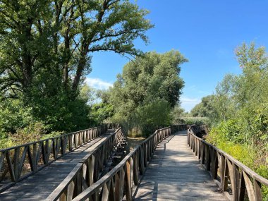 White Water-Lily Boardwalk, Kopacki rit Nature Park - Kopacevo, Croatia (Setnica bijelog lopoca, Park prirode Kopacki rit, Kopacevo - Baranja, Hrvatska)