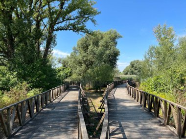 White Water-Lily Boardwalk, Kopacki rit Nature Park - Kopacevo, Croatia (Setnica bijelog lopoca, Park prirode Kopacki rit, Kopacevo - Baranja, Hrvatska)