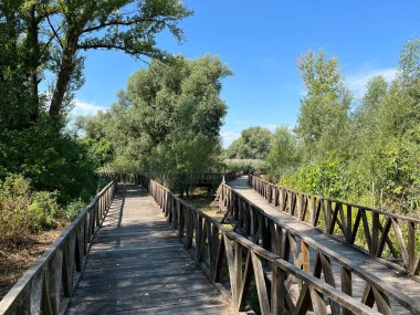 White Water-Lily Boardwalk, Kopacki rit Nature Park - Kopacevo, Croatia (Setnica bijelog lopoca, Park prirode Kopacki rit, Kopacevo - Baranja, Hrvatska)