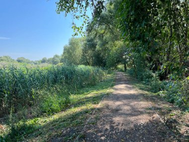 Educational trail in the Kopacki rit Nature park - Kopacevo, Croatia (Poucna staza u parku prirode Kopacki rit, Kopacevo - Baranja, Hrvatska)