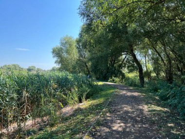 Educational trail in the Kopacki rit Nature park - Kopacevo, Croatia (Poucna staza u parku prirode Kopacki rit, Kopacevo - Baranja, Hrvatska)