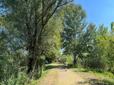 Educational trail in the Kopacki rit Nature park - Kopacevo, Croatia (Poucna staza u parku prirode Kopacki rit, Kopacevo - Baranja, Hrvatska)