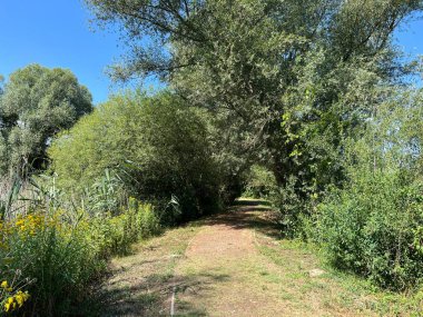 Educational trail in the Kopacki rit Nature park - Kopacevo, Croatia (Poucna staza u parku prirode Kopacki rit, Kopacevo - Baranja, Hrvatska)