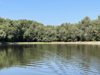 Lake Veliki Sakadas and floodplain forests, Kopacki rit Nature Park - Kopacevo, Croatia (Jezero Veliki Sakadas i poplavne sume, Park prirode Kopacki rit - Kopacevo, Hrvatska)