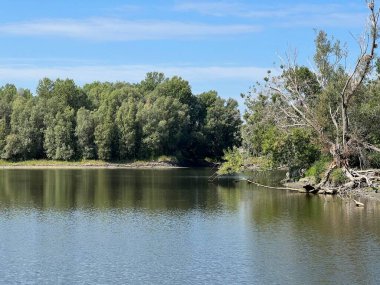 Lake Veliki Sakadas and floodplain forests, Kopacki rit Nature Park - Kopacevo, Croatia (Jezero Veliki Sakadas i poplavne sume, Park prirode Kopacki rit - Kopacevo, Hrvatska)
