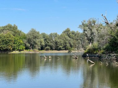 Lake Veliki Sakadas and floodplain forests, Kopacki rit Nature Park - Kopacevo, Croatia (Jezero Veliki Sakadas i poplavne sume, Park prirode Kopacki rit - Kopacevo, Hrvatska)