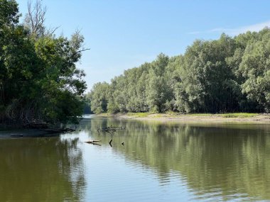 Lake Veliki Sakadas and floodplain forests, Kopacki rit Nature Park - Kopacevo, Croatia (Jezero Veliki Sakadas i poplavne sume, Park prirode Kopacki rit - Kopacevo, Hrvatska)