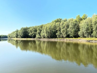 Lake Veliki Sakadas and floodplain forests, Kopacki rit Nature Park - Kopacevo, Croatia (Jezero Veliki Sakadas i poplavne sume, Park prirode Kopacki rit - Kopacevo, Hrvatska)