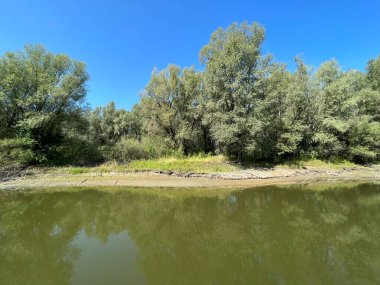 Lake Veliki Sakadas and floodplain forests, Kopacki rit Nature Park - Kopacevo, Croatia (Jezero Veliki Sakadas i poplavne sume, Park prirode Kopacki rit - Kopacevo, Hrvatska)