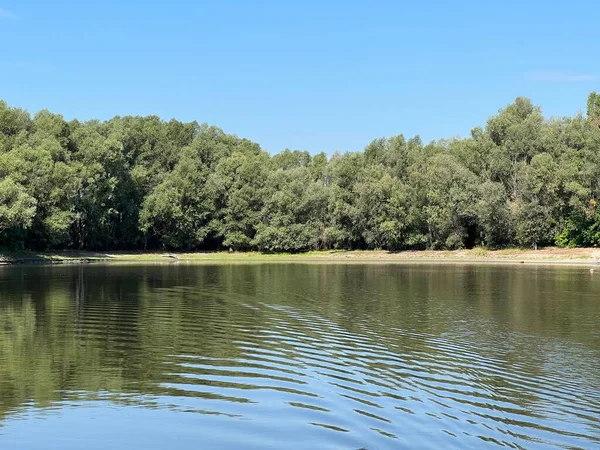 Lake Veliki Sakadas Floodplain Forests Kopacki Rit Nature Park Kopacevo — Fotografia de Stock